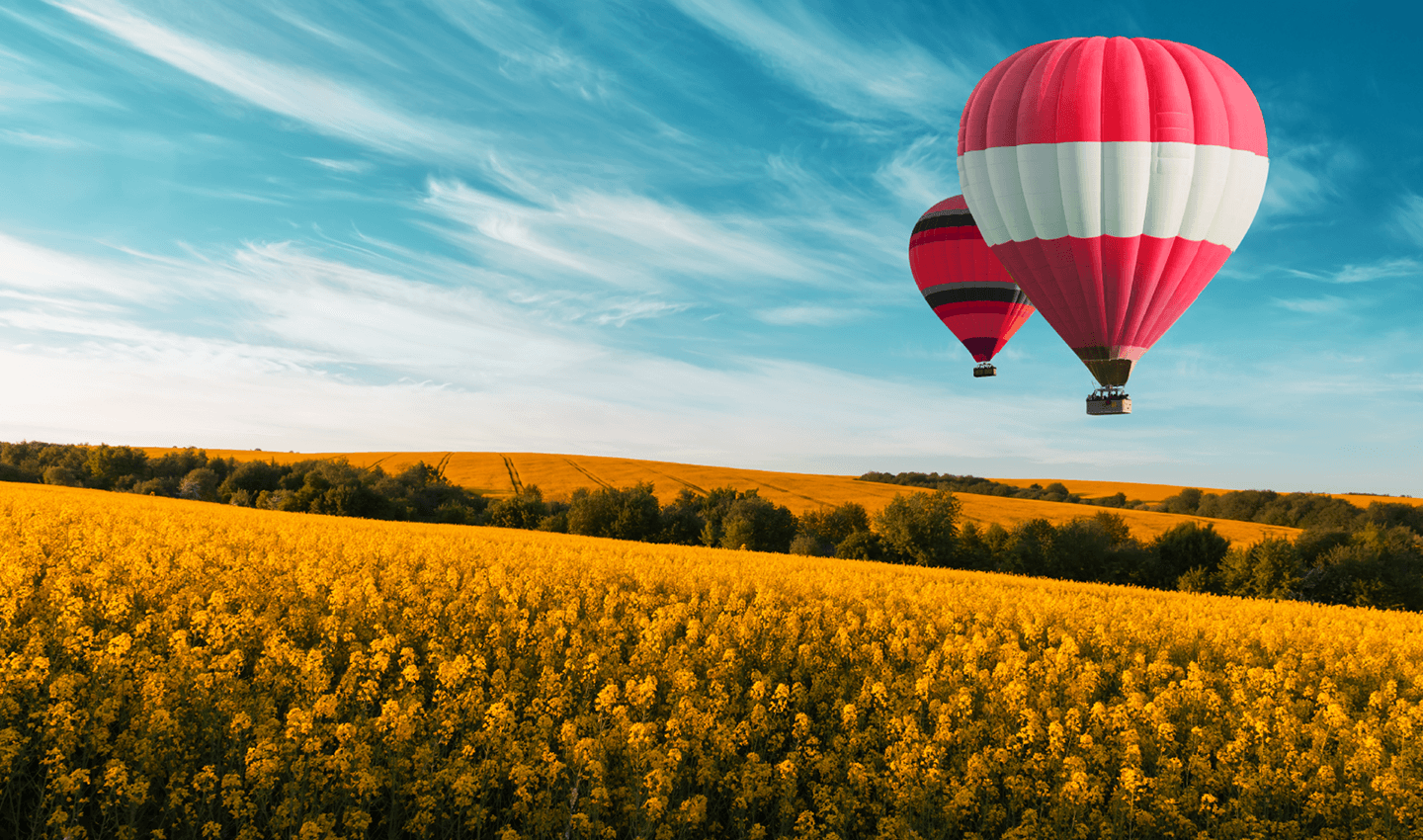 Hot air balloon