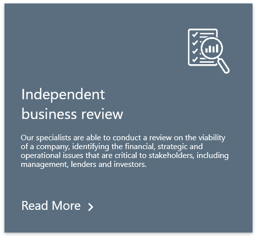Independent business review