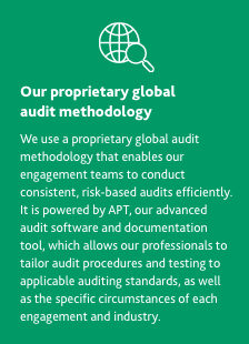 Our proprietary global audit methodology